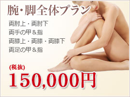 脚全体プラン