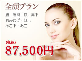 全顔プラン