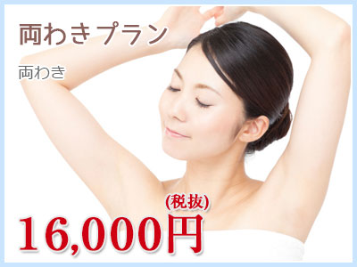 両わきプラン