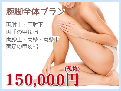 腕脚全体プラン