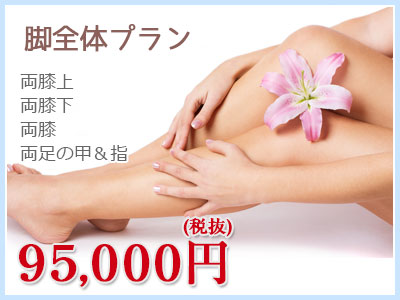 脚全体プラン