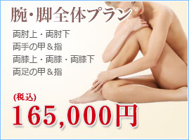 腕･脚全体プラン
