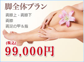 脚全体プラン