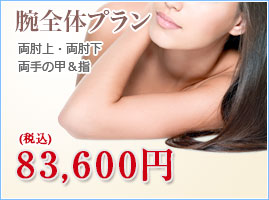 腕全体プラン