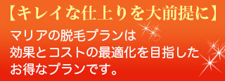 マリアの脱毛プランは効果とコストの最適化を目指したお得なプランです。