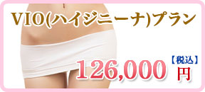 VIO(ハイジニーナ)プラン